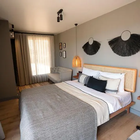 Alpsuites Tiny Concept House 701